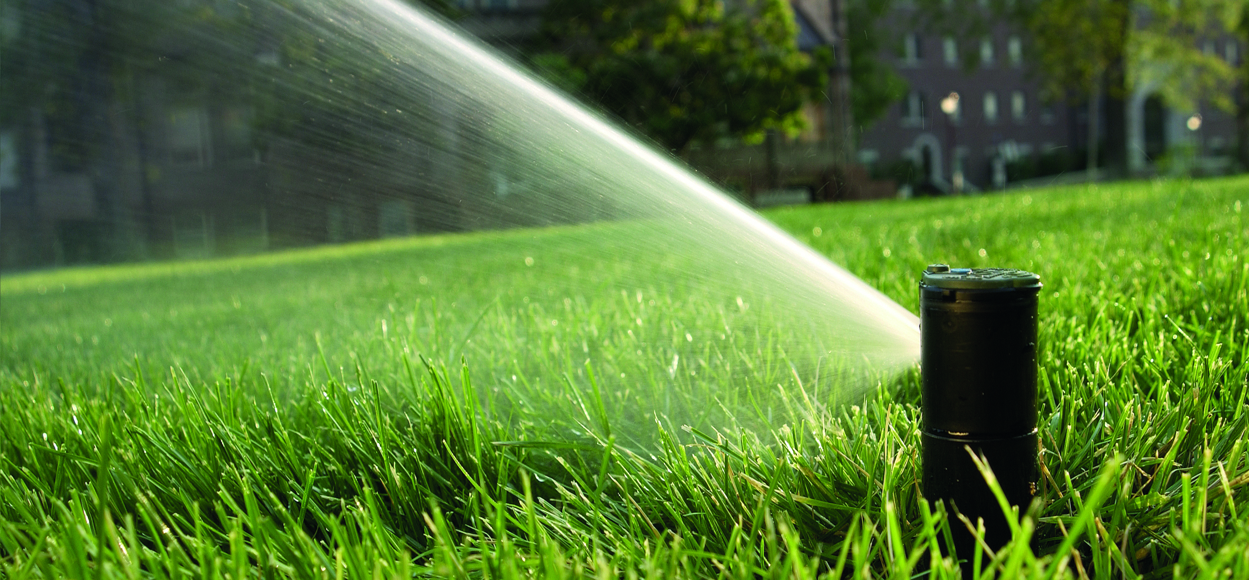 imagen riego por aspersión